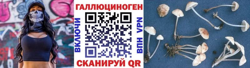 ОМГ ОМГ зеркало  Никольское  Галлюциногенные грибы Magic Shrooms  купить  